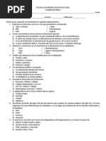 Examen Historia 1