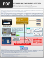 Parvovirus Infection Diagnostic and Therapy Diagnosticul si terapia in infectii cu parvovirus la caini vaccinati.