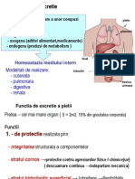 Renal CAM 2012