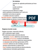 Renal