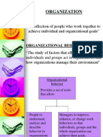 Organizational Behavior