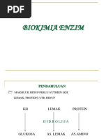 Download BIOKIMIA ENZIM by Genta Jagad SN201416521 doc pdf