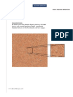 DT-WEGR PDF