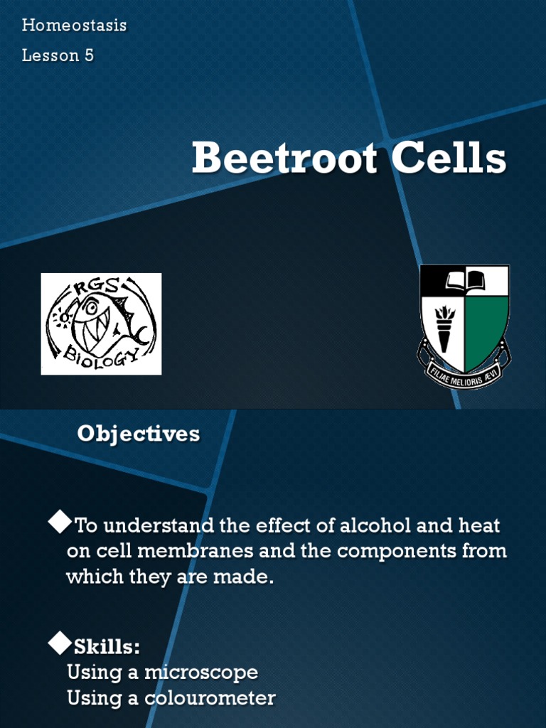 Beetroot Practical | PDF
