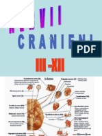 07 Nervi Cranieni