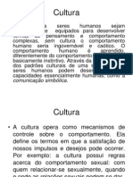 Cultura - Socialização - Papéis Sociais