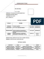 Curriculum Vitae Roxana Martinez Allende