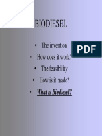Biodiesel BigPine