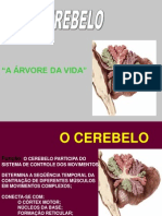 O Cérebro e o Cerebelo: Funções e Lesões