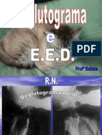 Deglutograma e E.E.D.