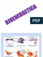 Bioenergetica 2013