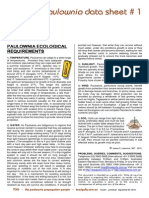 Paulownia ecological requirements