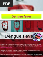 Download Presentation Dengue Fever by polarbear121212 SN20159654 doc pdf