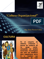 Cultura Organizacional