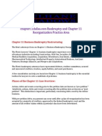 Bankruptcy and Chapter 11 Reorganization Practice Area