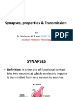 Lecture Synapses, Properties & Transmission Dr. Roomi