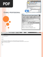 E Mail Profissional