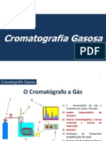 06 Cromatografia Gasosa EMRichter 2012 01 Noturno