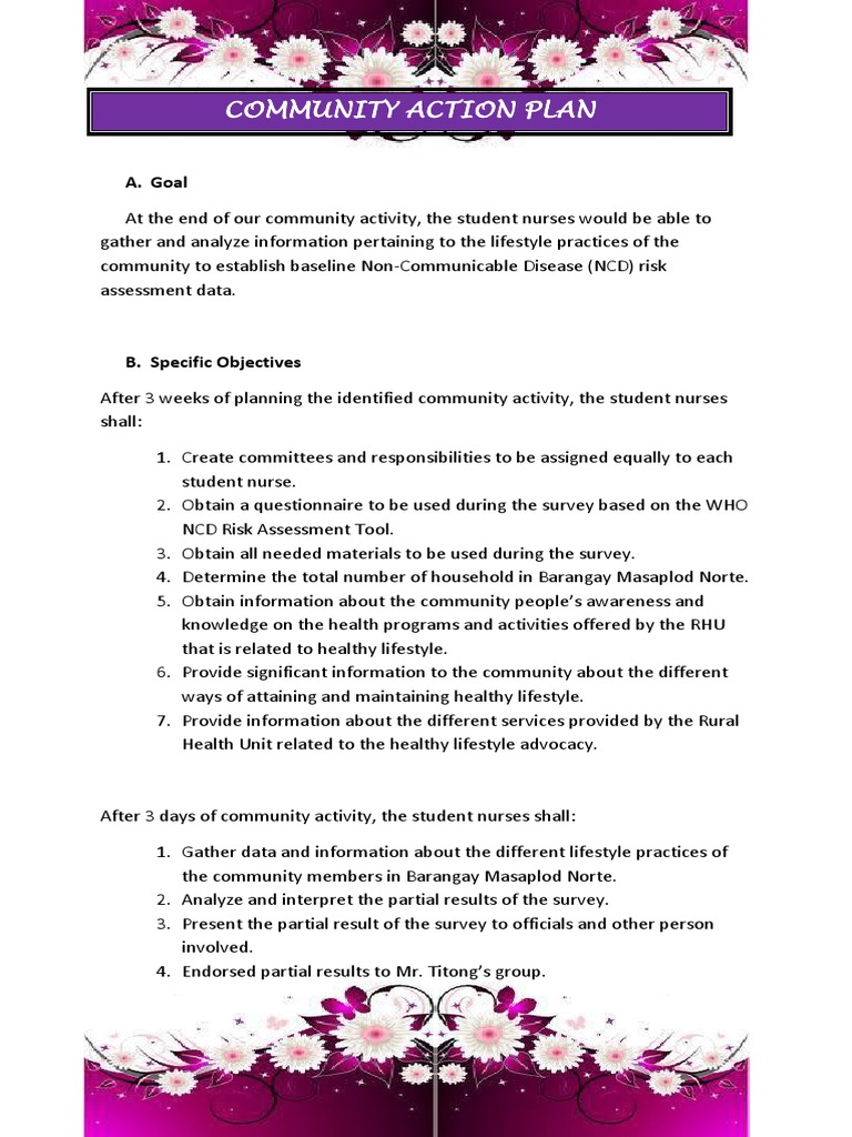 Community Action Plan | PDF | Lifestyle (Sociology) | Nursing
