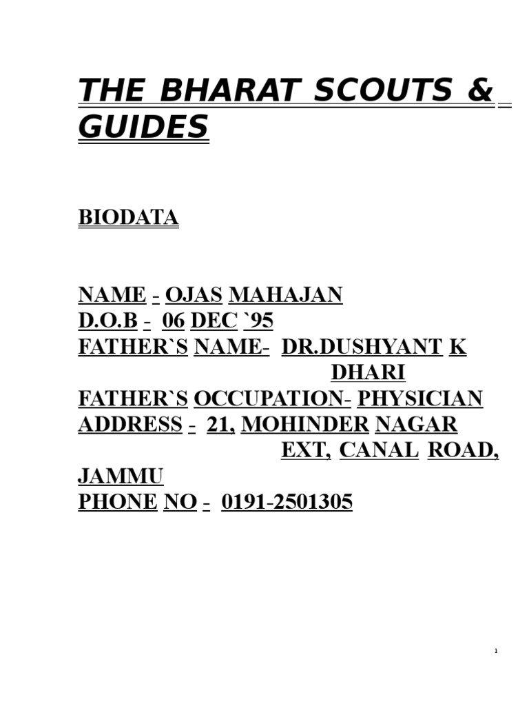 Scouts Log Book PDF Scouting Fires