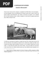 BERNANDO - O Espelho de Flusser