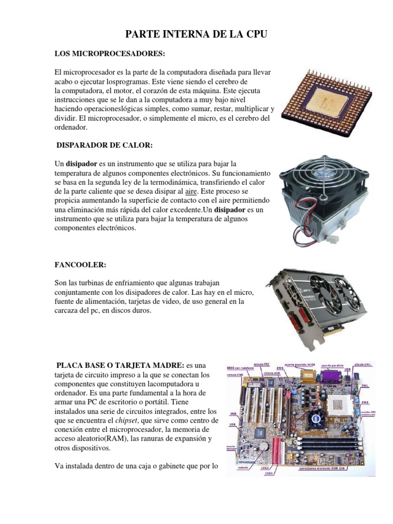 Parte Interna de La Cpu