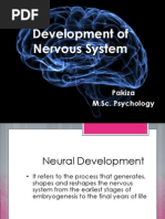 Development of Nervous System: Pakiza M.Sc. Psychology