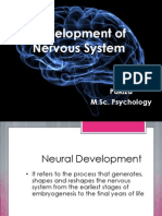 Development of Nervous System: Pakiza M.Sc. Psychology