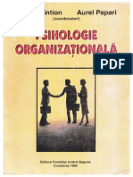 Filaret Sintion - Psihologie Organizationala
