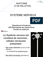 PCEM1 2008 Cours 4 SNC