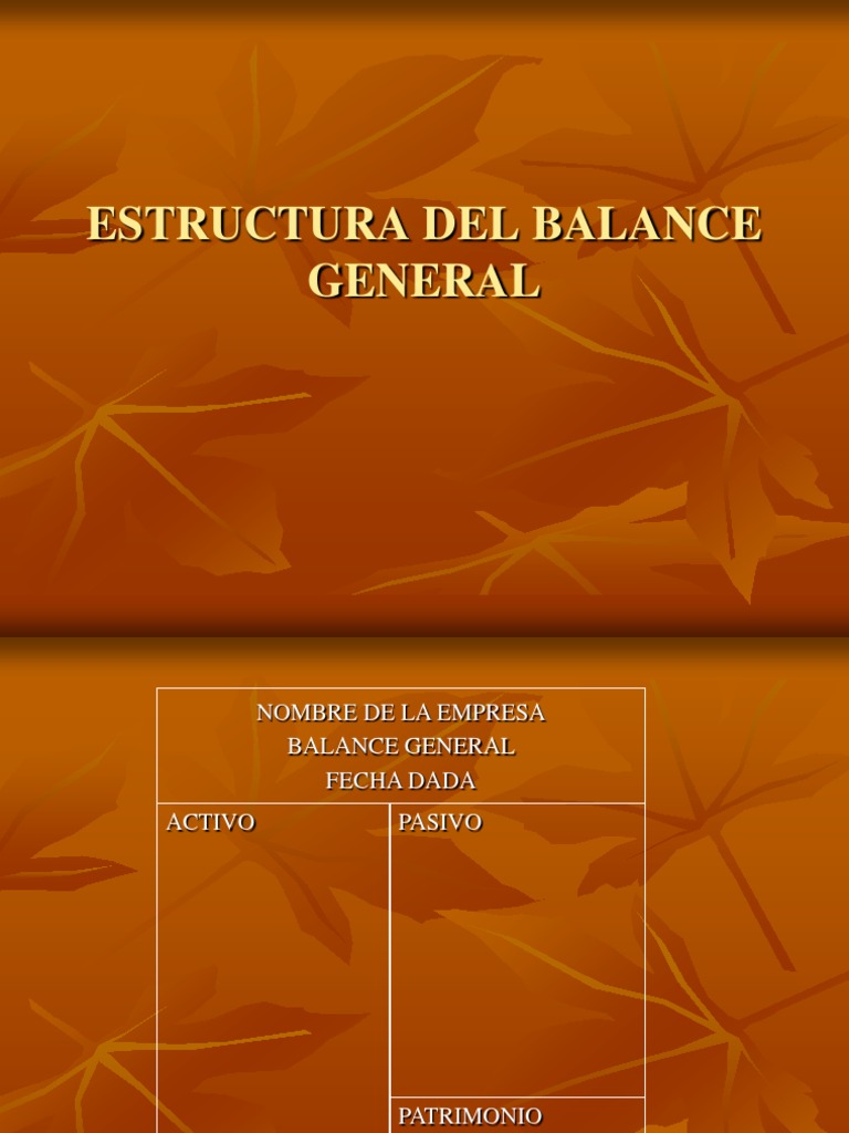 Balance General y Activos Fijos 2007 | PDF