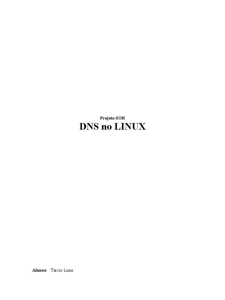 DNS Linux | PDF
