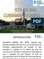 Planta de Procesamiento de Gas - Duke Energy