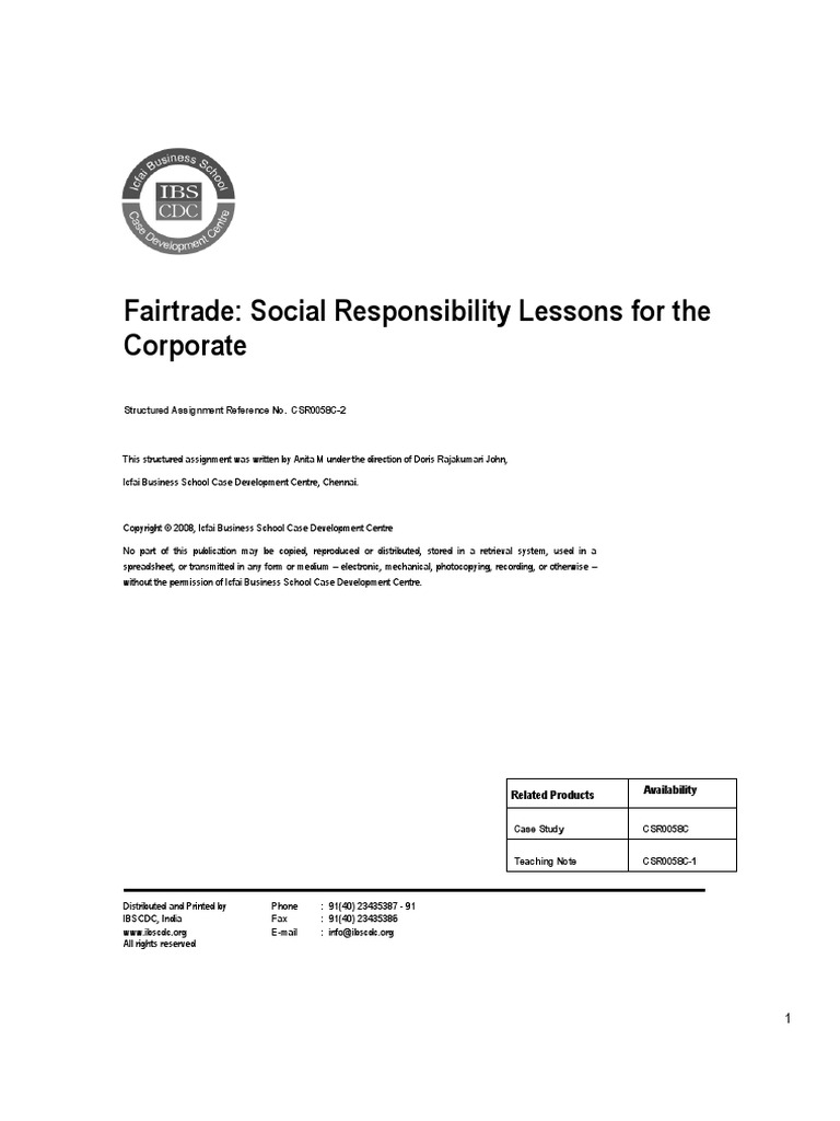 Corporate social responsibility pdf 2020 picture