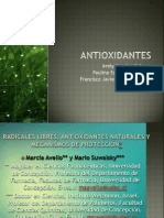 Antioxidant Es