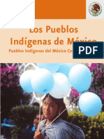 Pueblos Indígenas de México