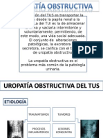 Uropatia Obstructiva de Pollo..