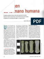 El Origen de La Mano Humana Inv. y Ciencia 2005