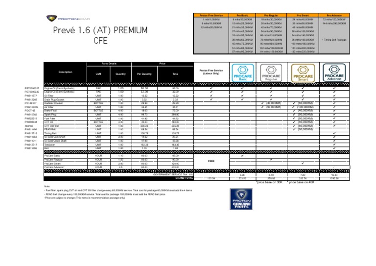 Proton Service Package Overview | PDF
