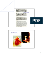 Myxobacteria diferenciación y cuerpos fructíferos