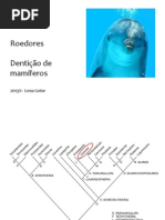 Mamíferos aula 3 2013 1 (1)