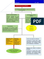 Oxidación de Lípidos.