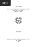 Download DiagramPenangananKecelakaanKerjabyTommyCHerliantoSN201891647 doc pdf