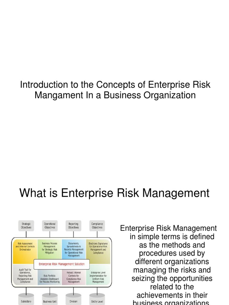 CAREweb Online Presentation | PDF | Risk Management | Enterprise Risk ...