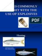 Fishes Commonly Caught With The Use of Explosives