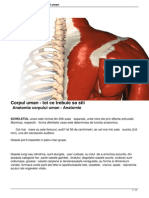 734 Din Ce Este Alcatuit Corpul Uman