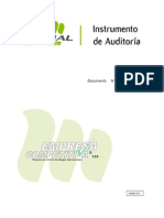 Instrumento_Auditoría_PEC_V2_0__Edición_2_02_Mutual__Modif._09-09-08