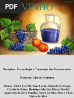 Apresentação - Enzimologia e Tecnologia das Fermentações - Vinho