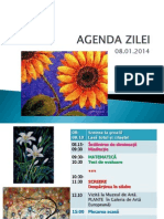 Ianuarie.08, Agenda Step