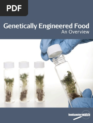 Genetically Engineered Food: An Overview